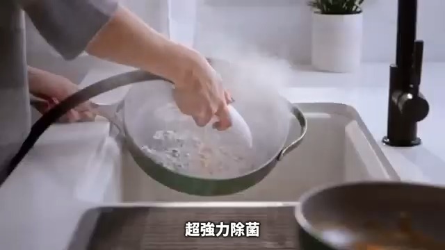 Amazon.co.jp: 【マクアケ1位 × 99%除菌】Dayoo ダヨー スチーマー